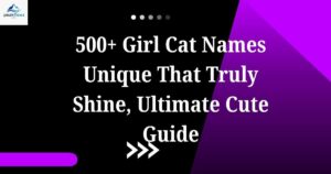 500 girl cat names unique