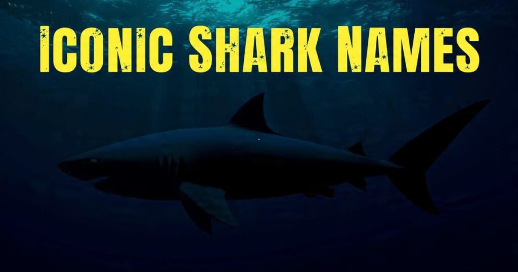 Famous Shark Names