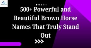 names for brown horses